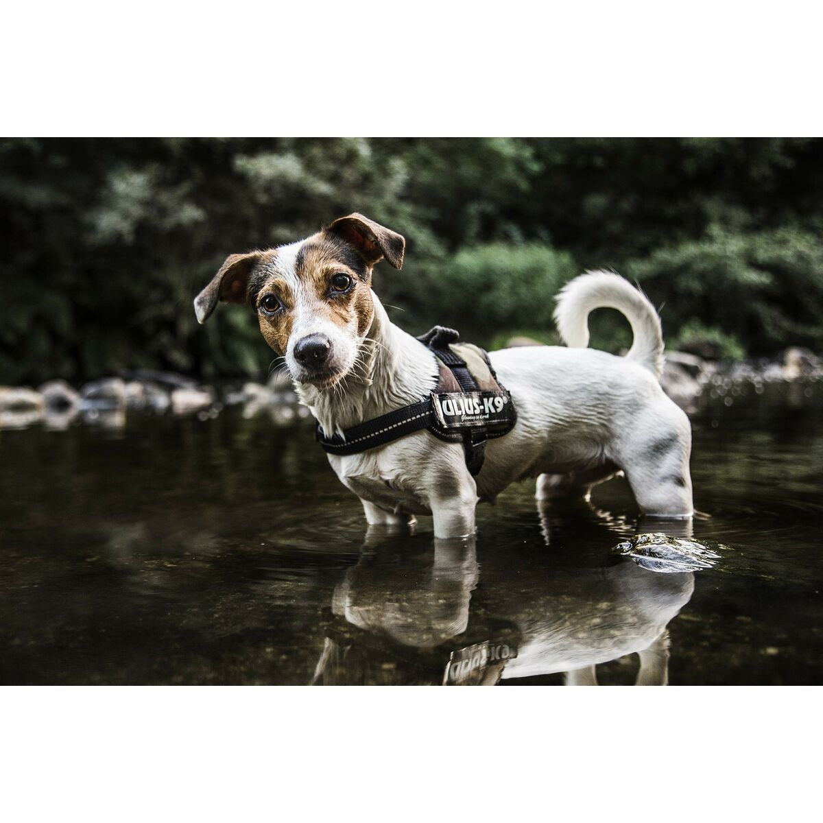 V7HBEDACE6499A611233F1ECA063E490D3DR7444350P8