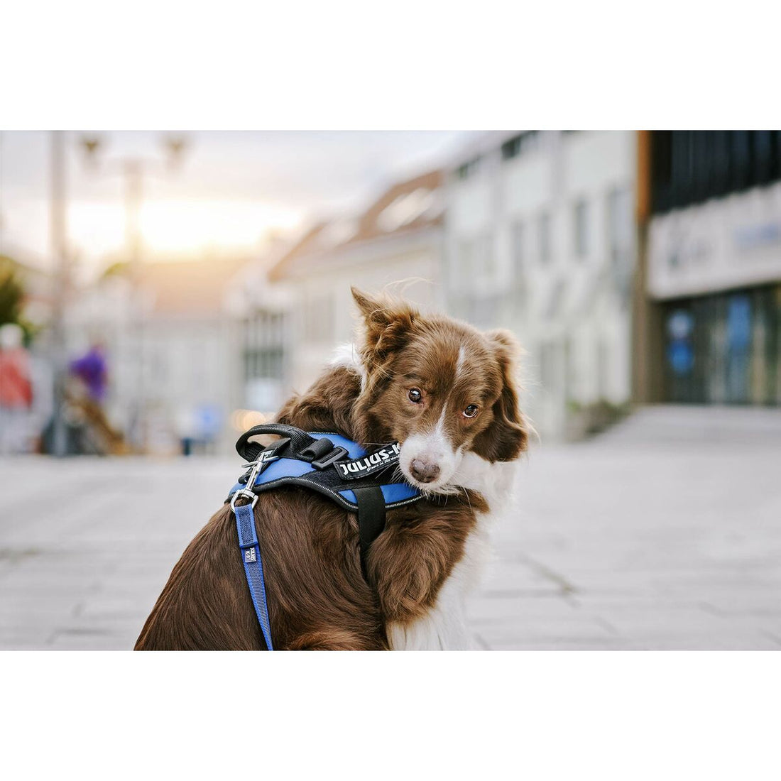 V7H104BFB5CE4C87D6C204F951C8E80D23ER5333060P2