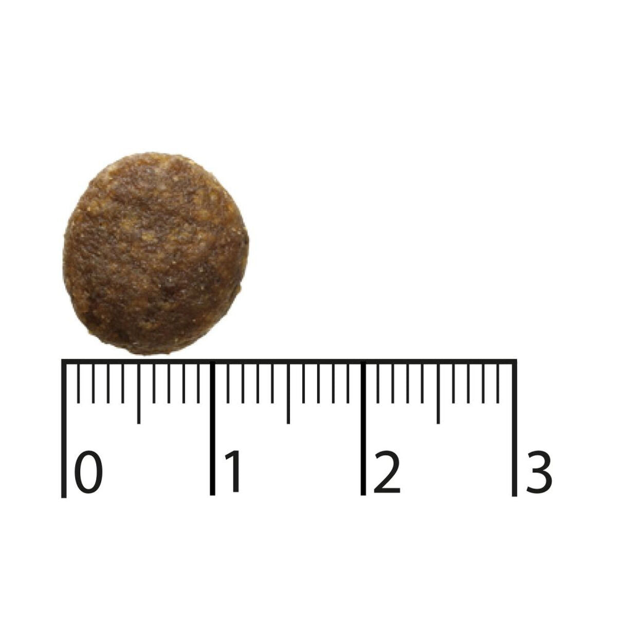 V4H110B91C645D8907172C70E68CD5DA9E7R5841587P4