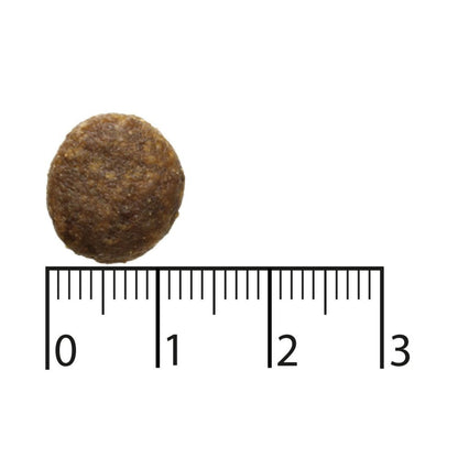 V4H110B91C645D8907172C70E68CD5DA9E7R5841587P4