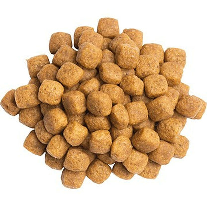 V5H0AE6B0F3906F3A6012F84F1B9304DCA3R4947237P2