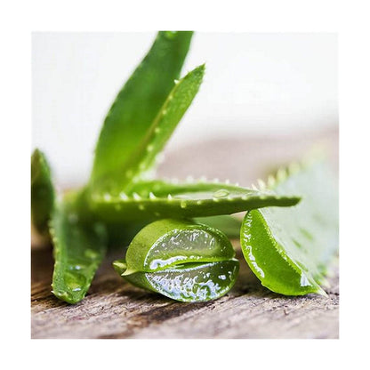 V12H7CAA8EA389595A76F0D6C57CA85AD10DR4219816P2