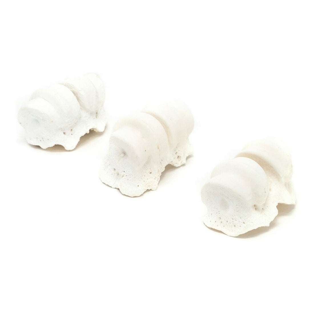 V10HF29FC831BE2DD754B633858E7738A057R3891365P1