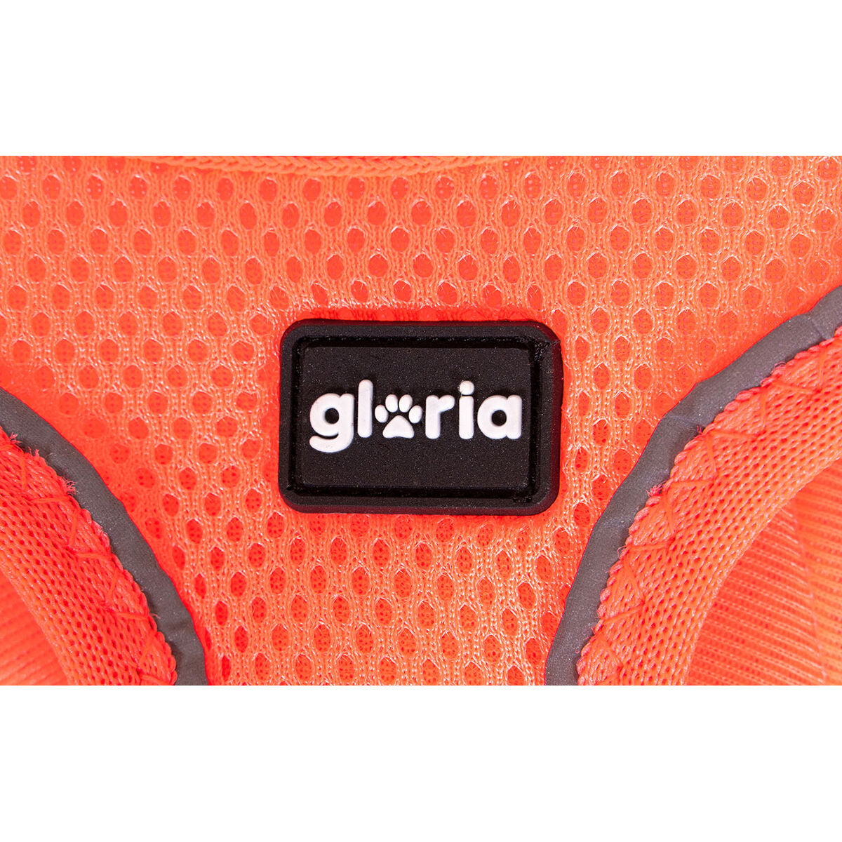 V8H1534F7C989E57B146A0D93182C3E05ADR5597784P6