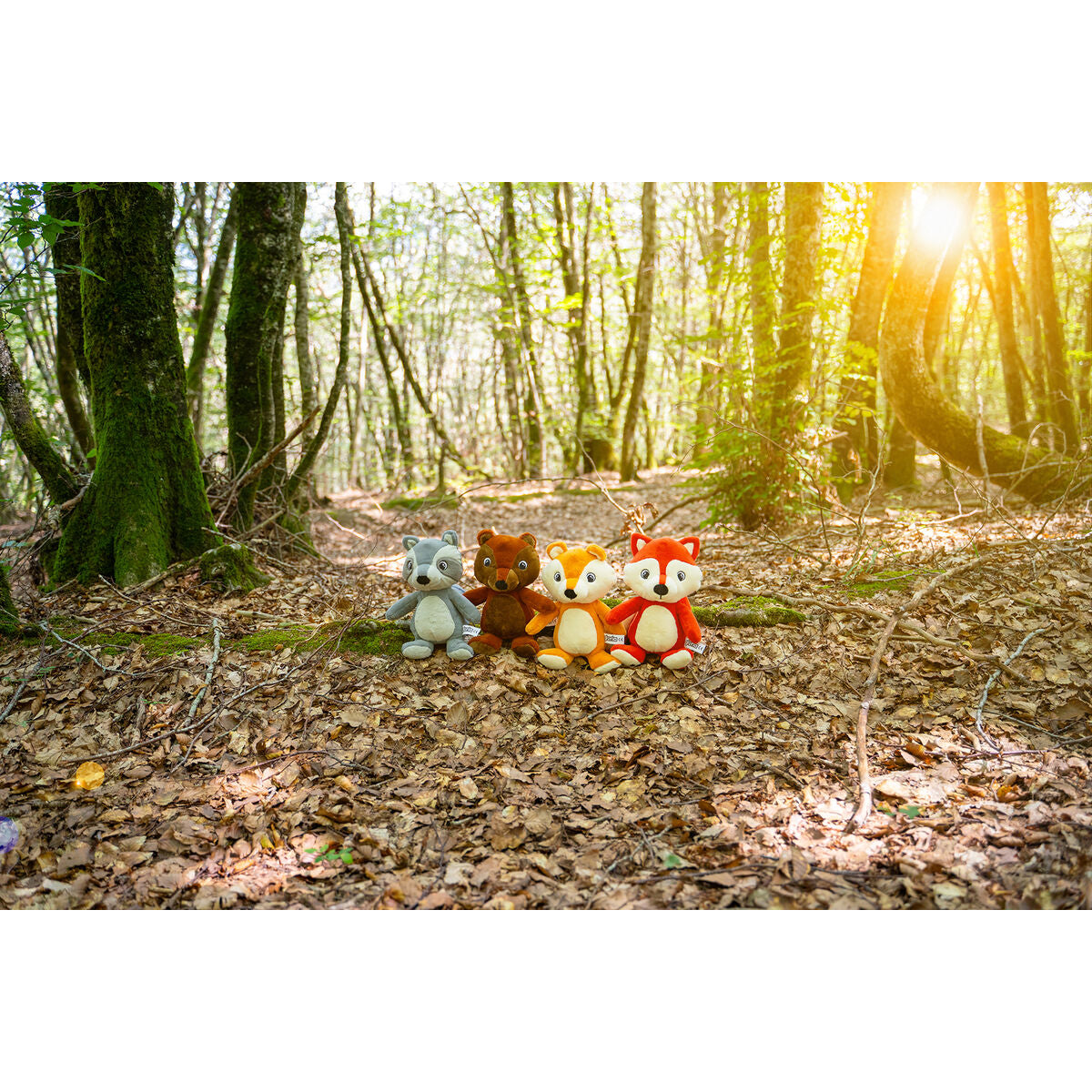 V9HEE91B76534424AB20B57E16BCB06A3E4R3710447P3