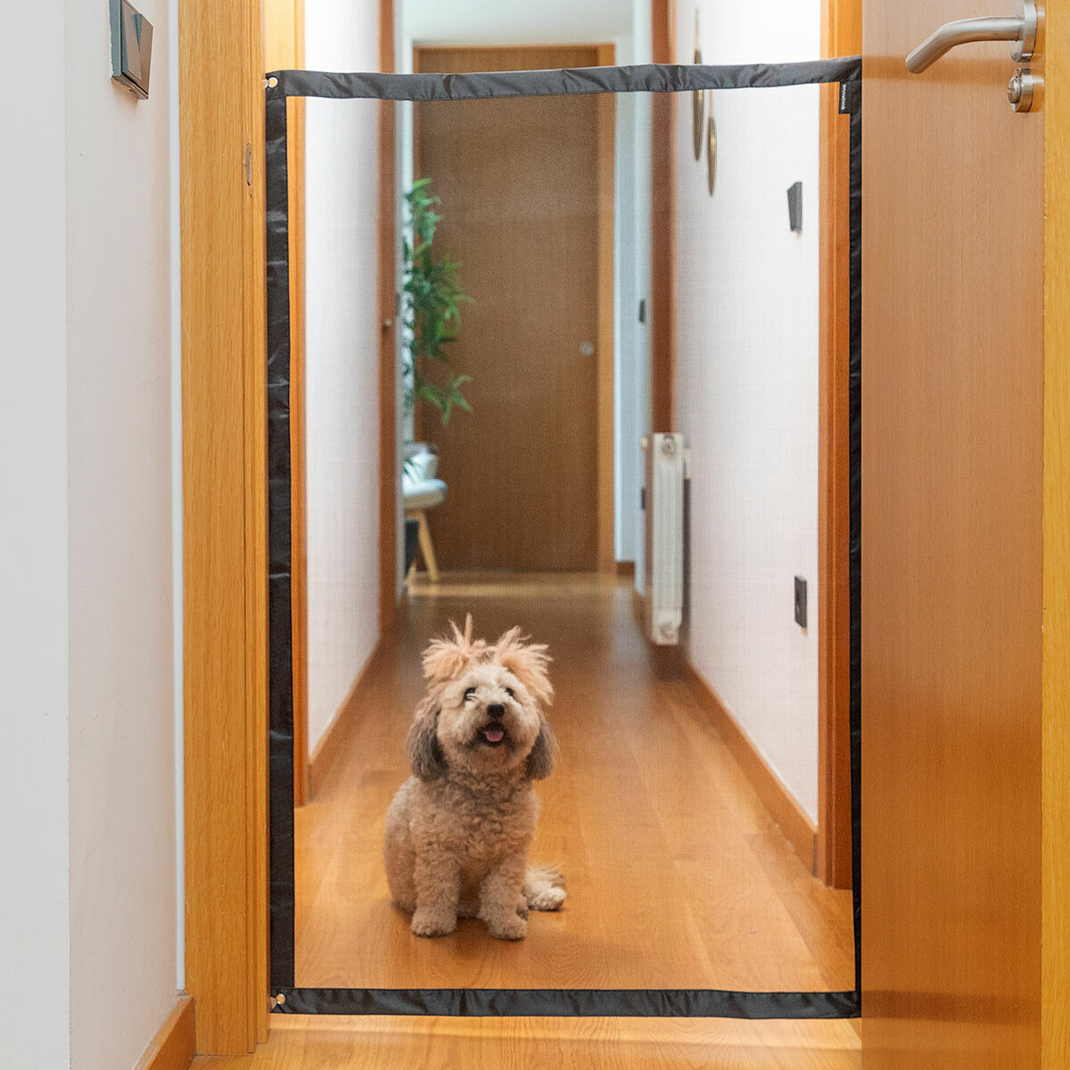 V10H768D201FF251721D4AE34C7588E09029R5262101P6