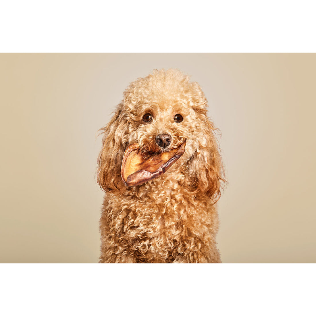 V9HC44D046A0F88FC248D1DA182F6852F9AR6578024P2