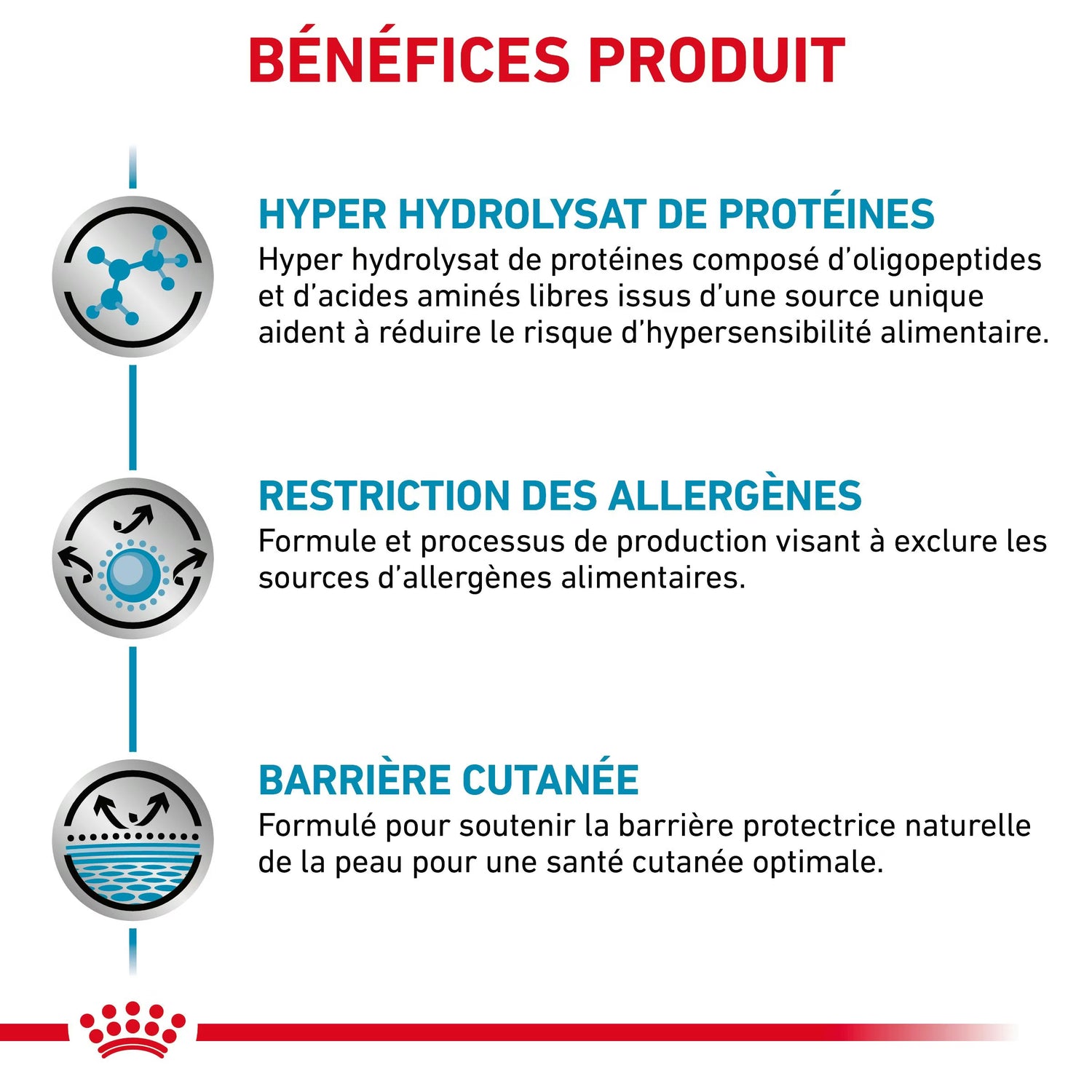 Royal Canin Veterinary Anallergenic dry dog food (kibble), 8 kg