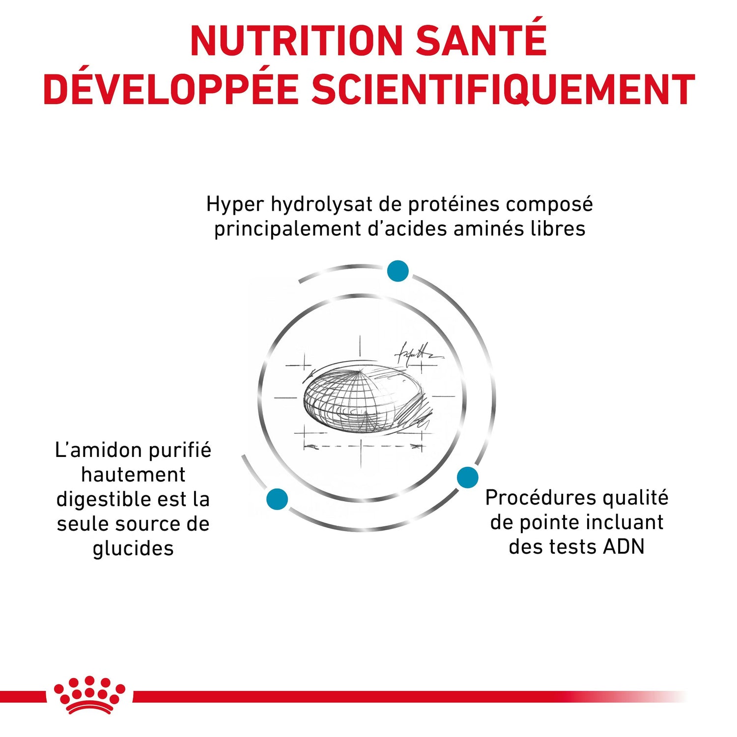 Royal Canin Veterinary Anallergenic dry dog food (kibble), 8 kg