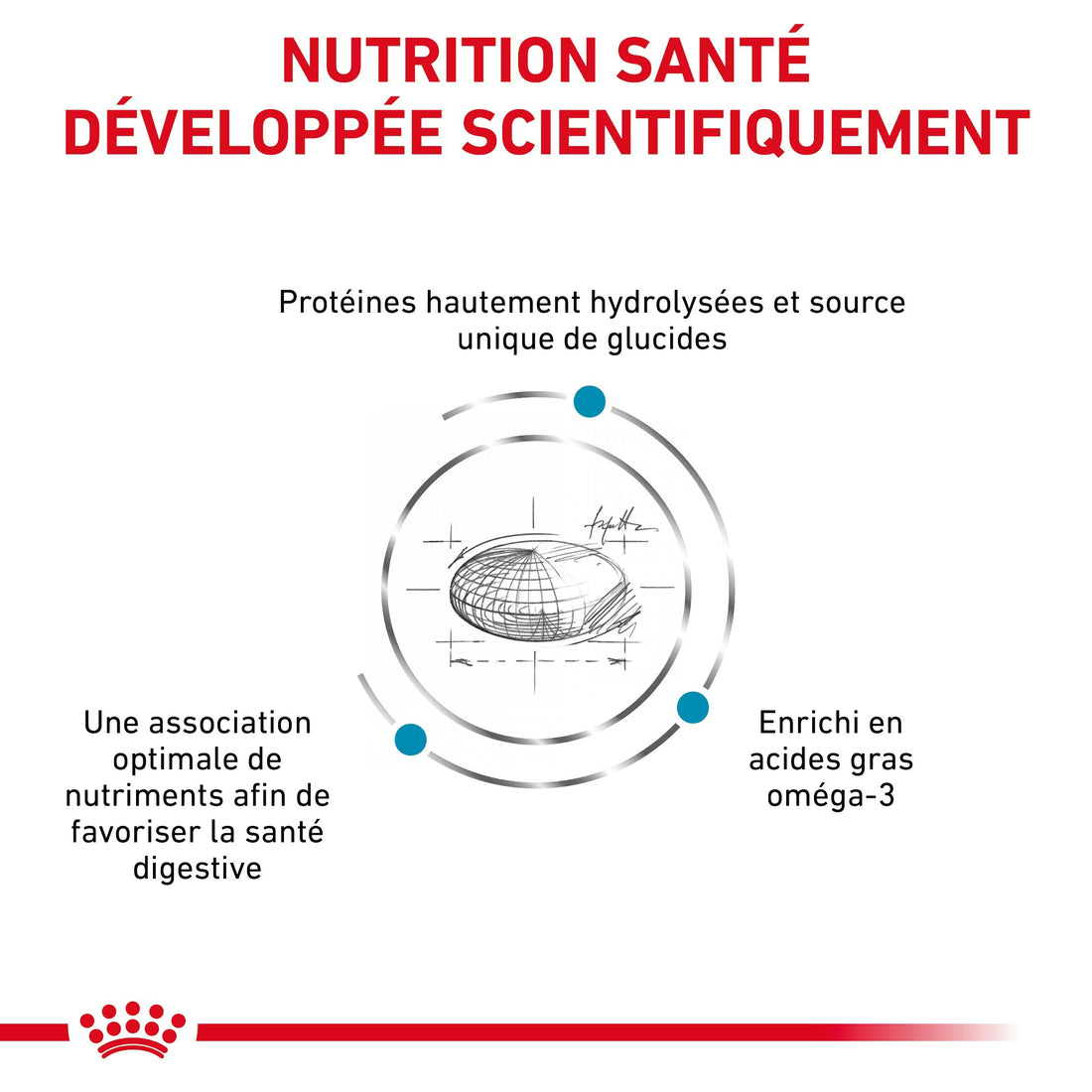 Royal Canin Hypoallergenic Moderate Calorie Canine Dry Dog Food 7 kg
