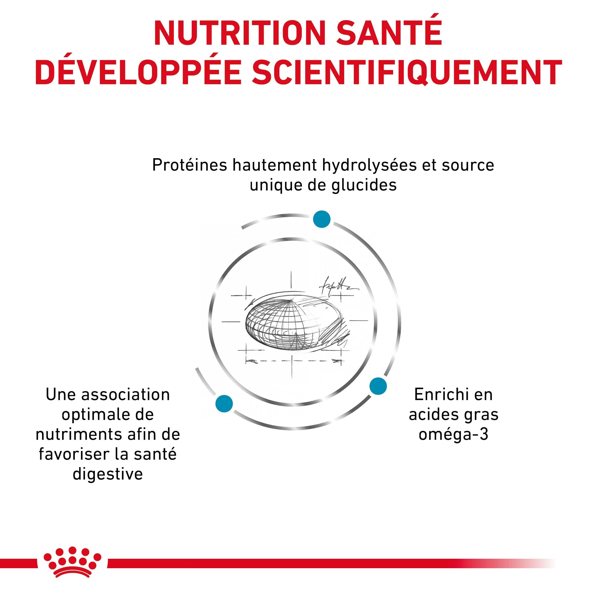 Royal Canin Hypoallergenic Moderate Calorie Canine Dry Dog Food 7 kg