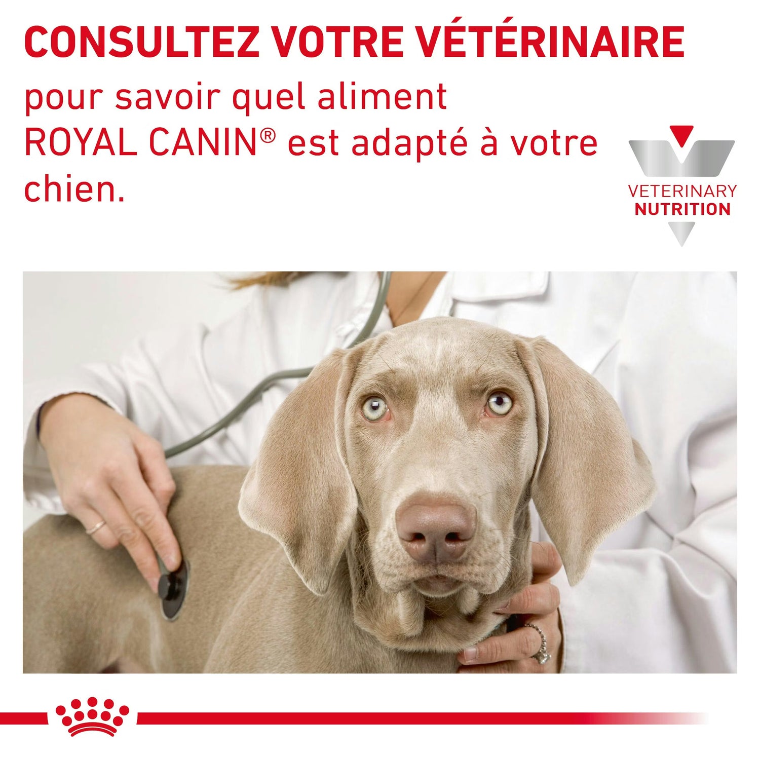 Royal Canin Hypoallergenic Moderate Calorie Canine Dry Dog Food 7 kg