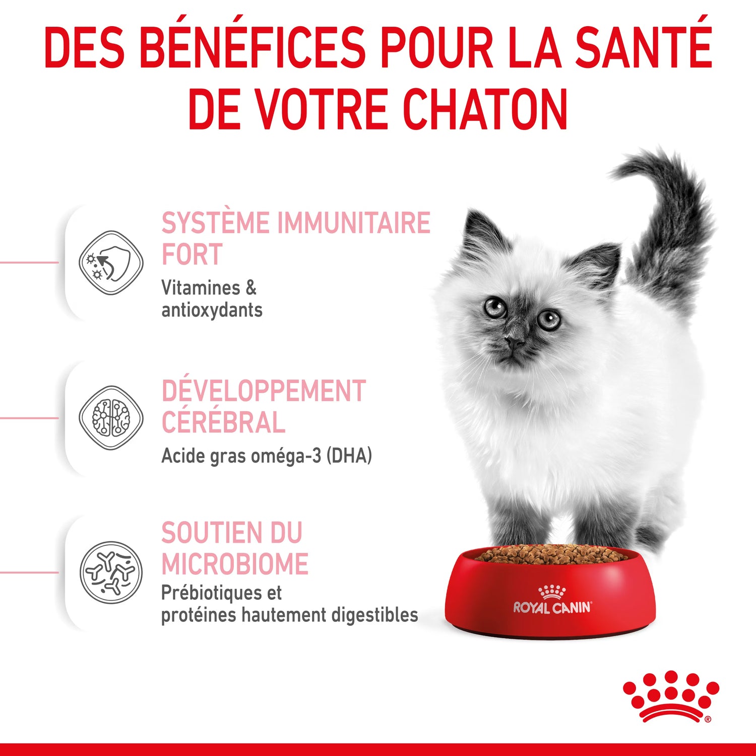 ROYAL CANIN Kitten 10kg