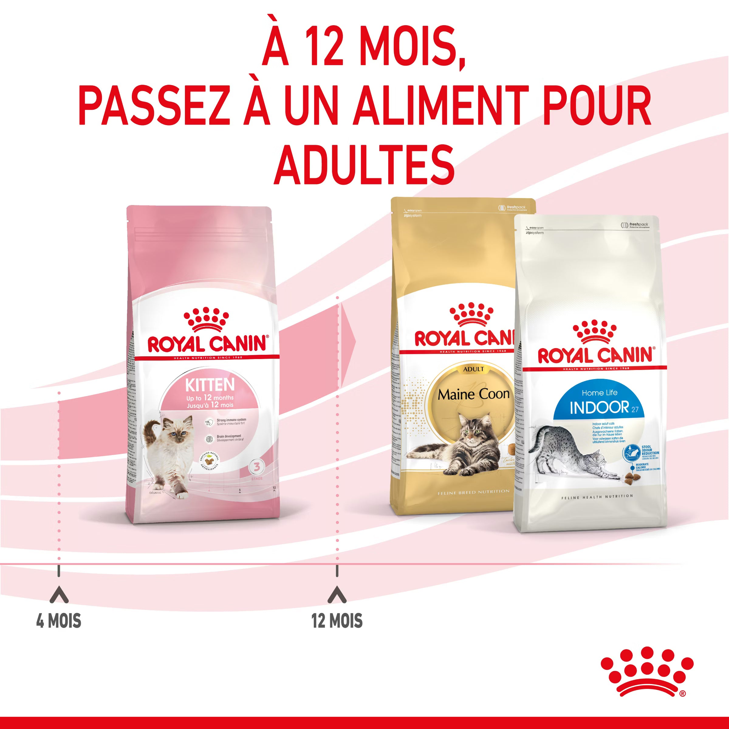 ROYAL CANIN Kitten 10kg