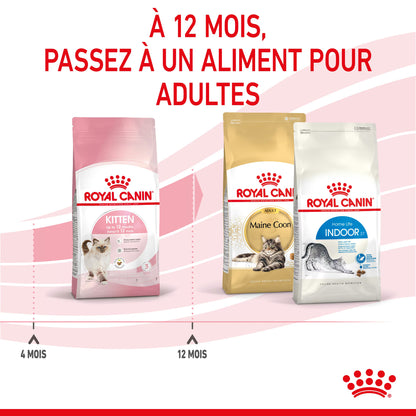 ROYAL CANIN Kitten 10kg