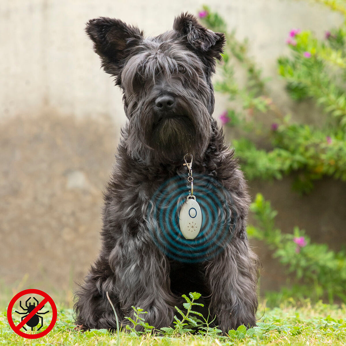 V15H2A9F32BA91D26E59C2A199C6FD9E8B13R5434219P1